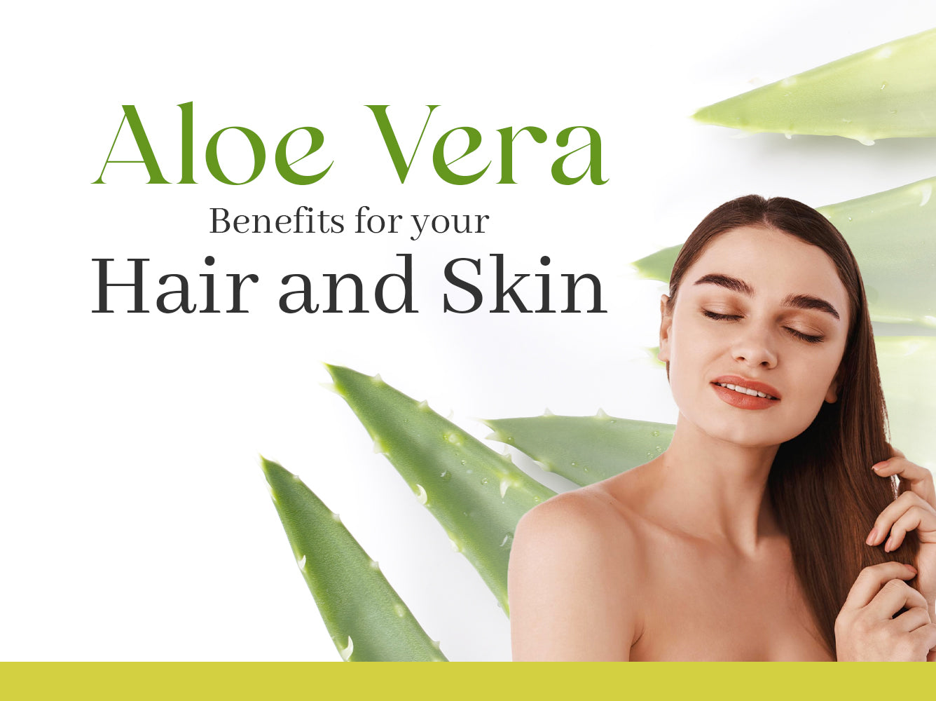 Harness the Power of Aloe Vera for Gorgeous Hair and Radiant Skin