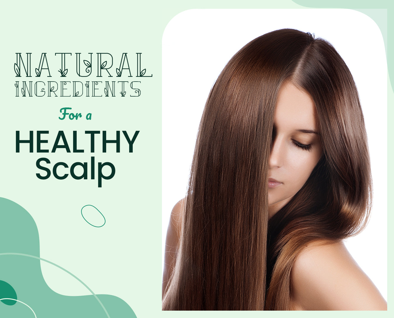 The Ultimate Guide to Achieving a Healthier Scalp with Natural Ingredients